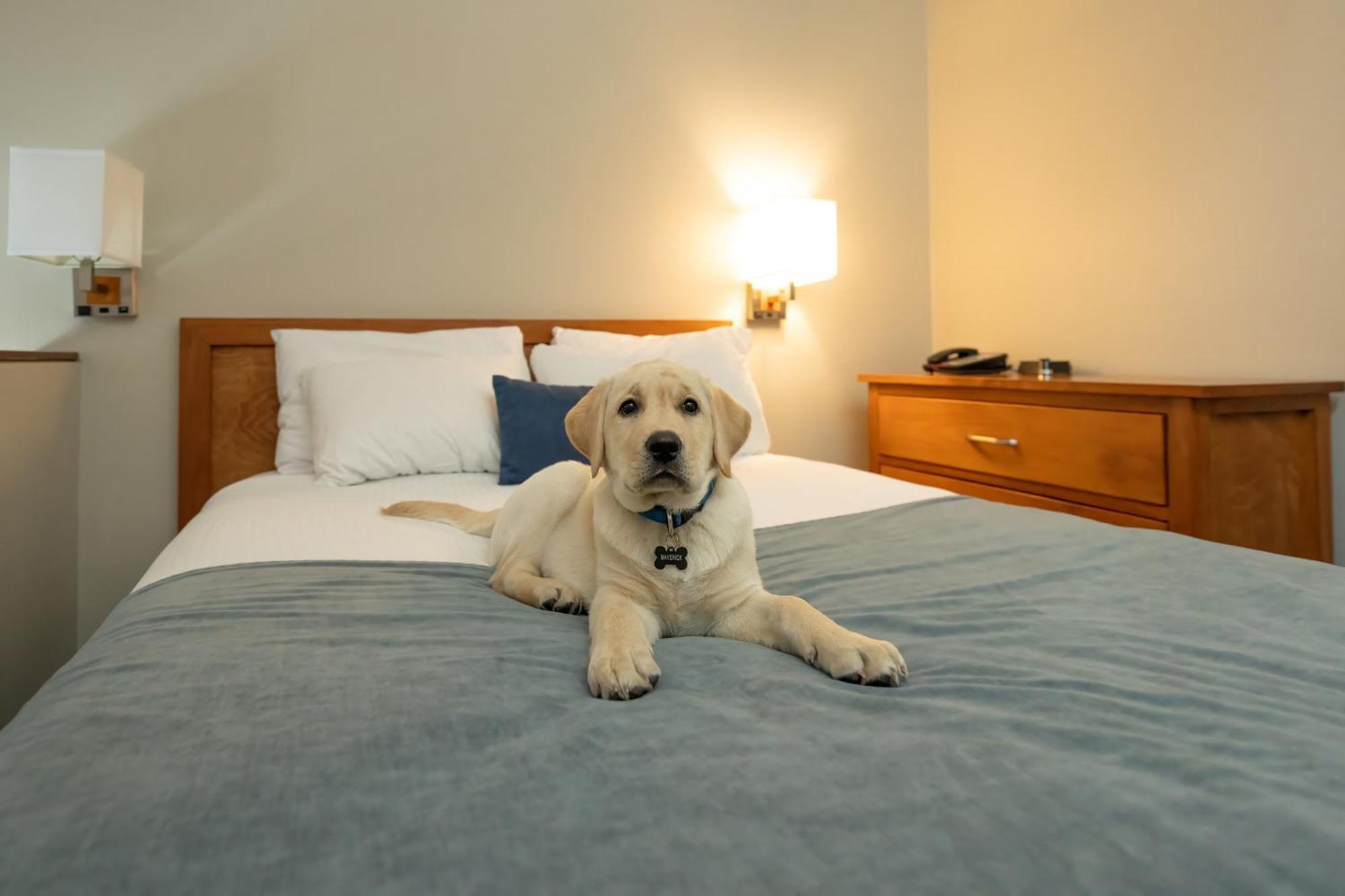 Whistler Village Inn & Suites Buitenkant foto